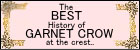The BEST History of GARNET CROW at the crest...(初回限定盤) GARNET CROW