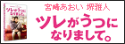 ツレがうつになりまして。 スタンダード・エディション 