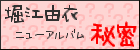 秘密(初回限定盤A)  堀江由衣