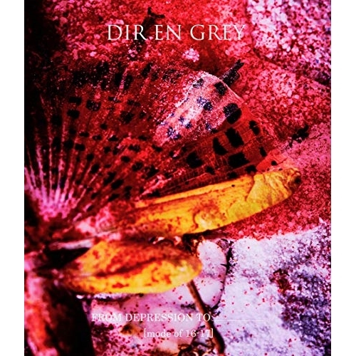 BD / DIR EN GREY / FROM DEPRESSION TO ________(mode of 16-17)(Blu-ray)